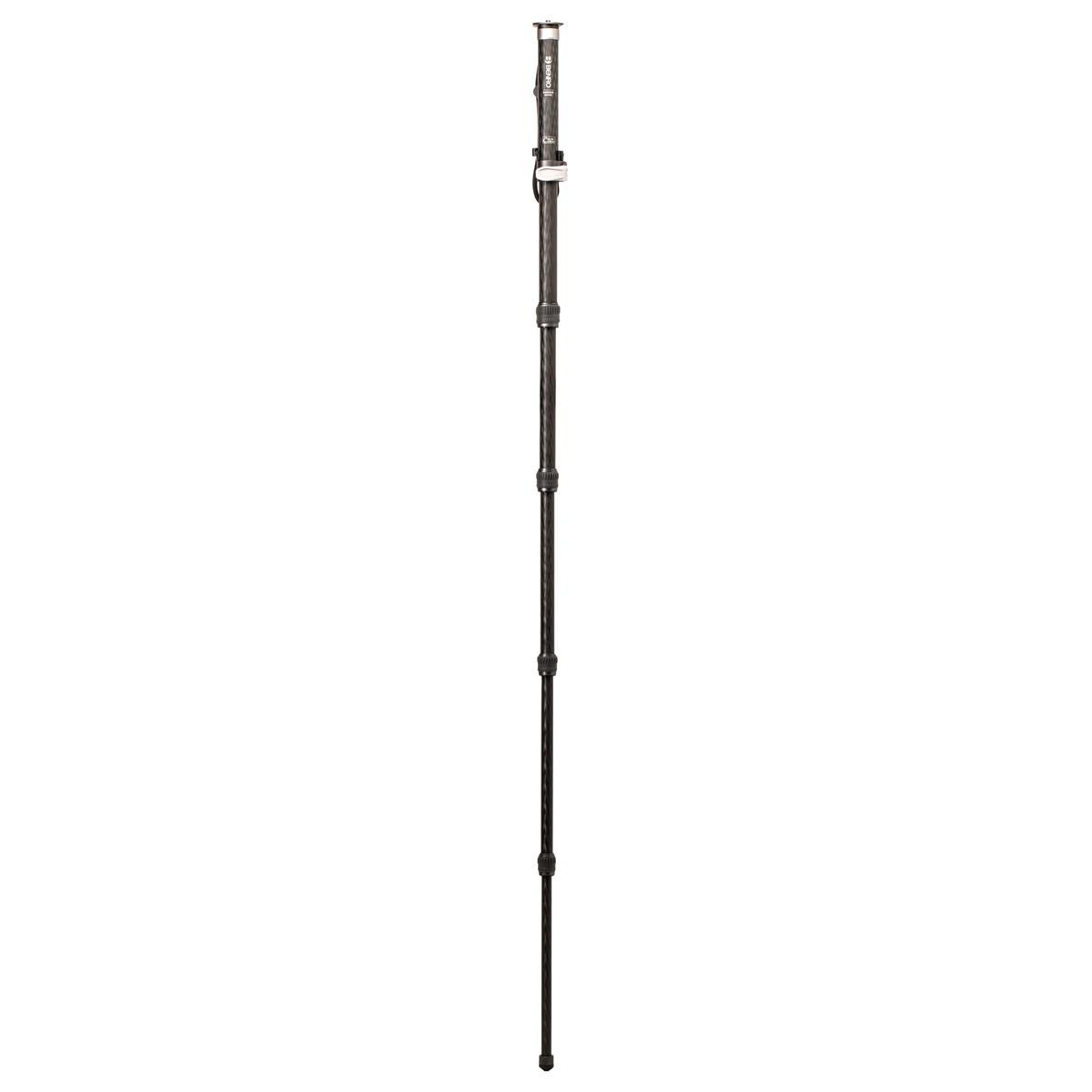 Benro MSD46C SupaDupa Carbon Fiber Monopod (72")