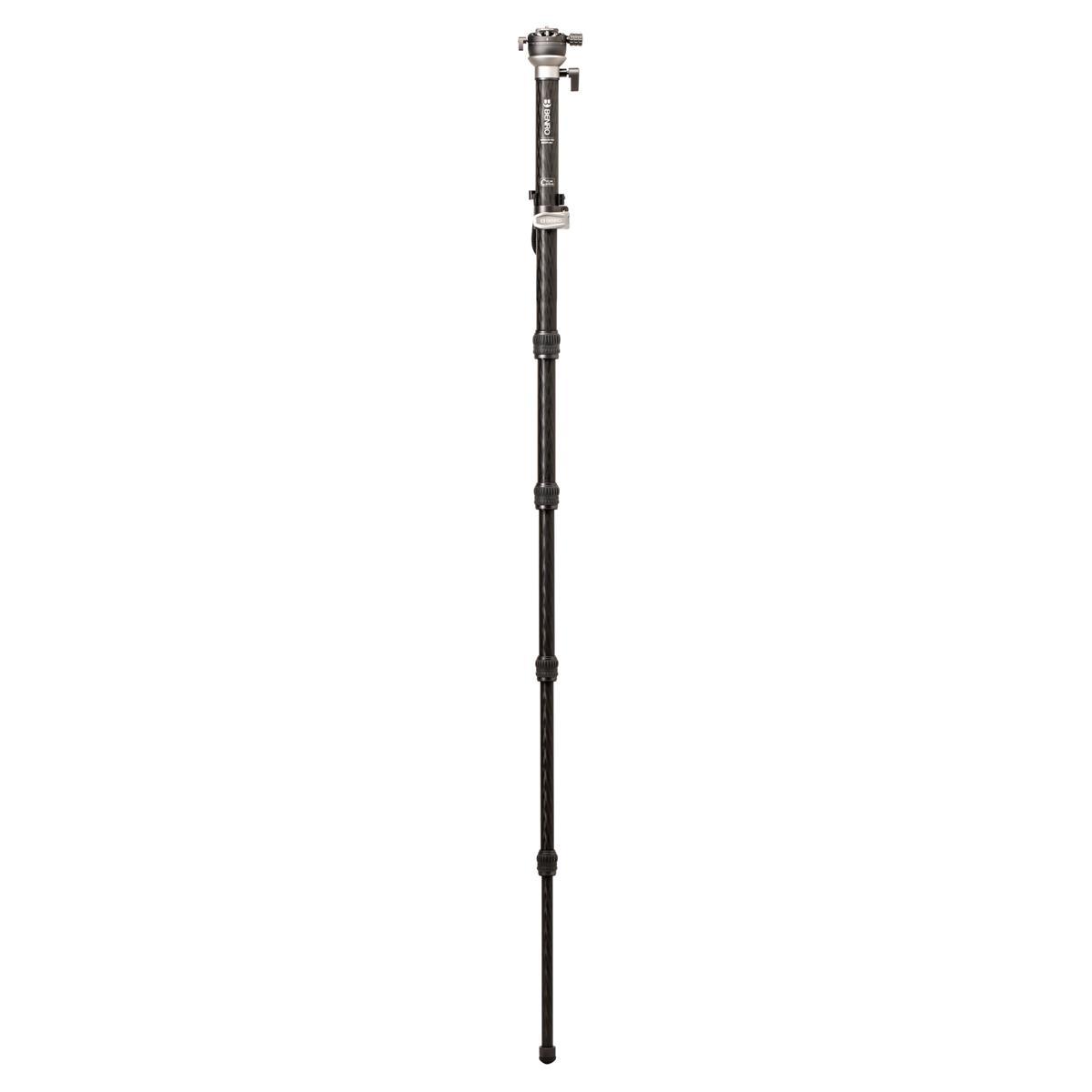 Benro MSDPL46C SupaDupa Carbon Fiber Monopod with Leveling Pan Head (62")