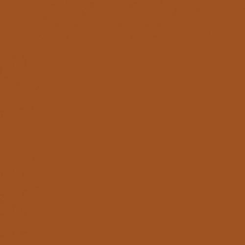 Savage 107" x 36' #17 Sienna Seamless Background Paper