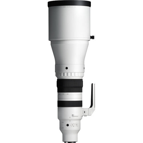 Sigma 300-600mm F4 DG OS | Sports Lens (L Mount)
