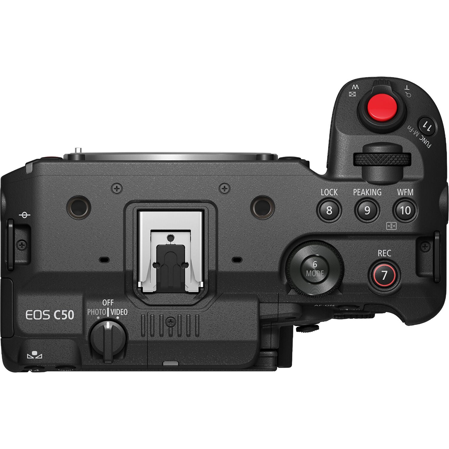 Canon EOS C50 Full-Frame Cinema Camera (RF Mount)