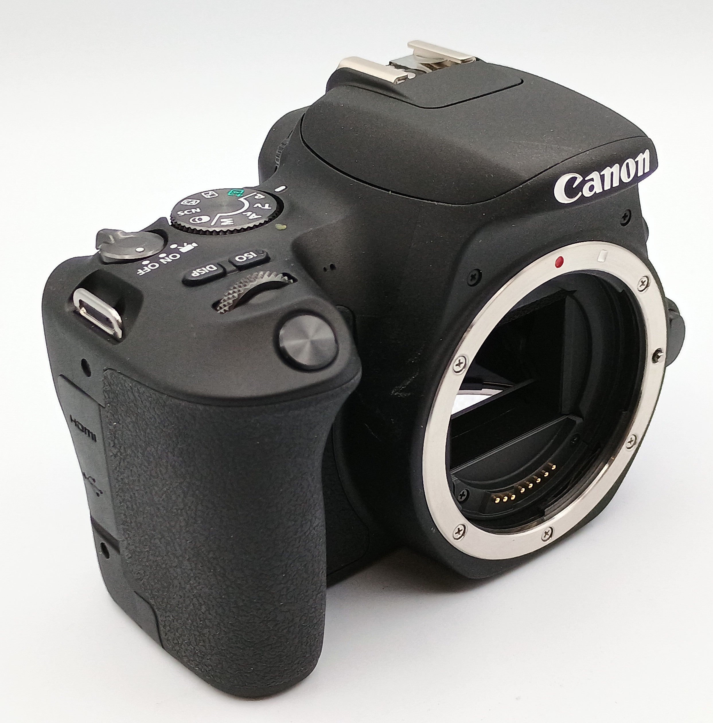 USED Canon EOS Rebel SL2 W/ 18-55mm STM Lens (Black)