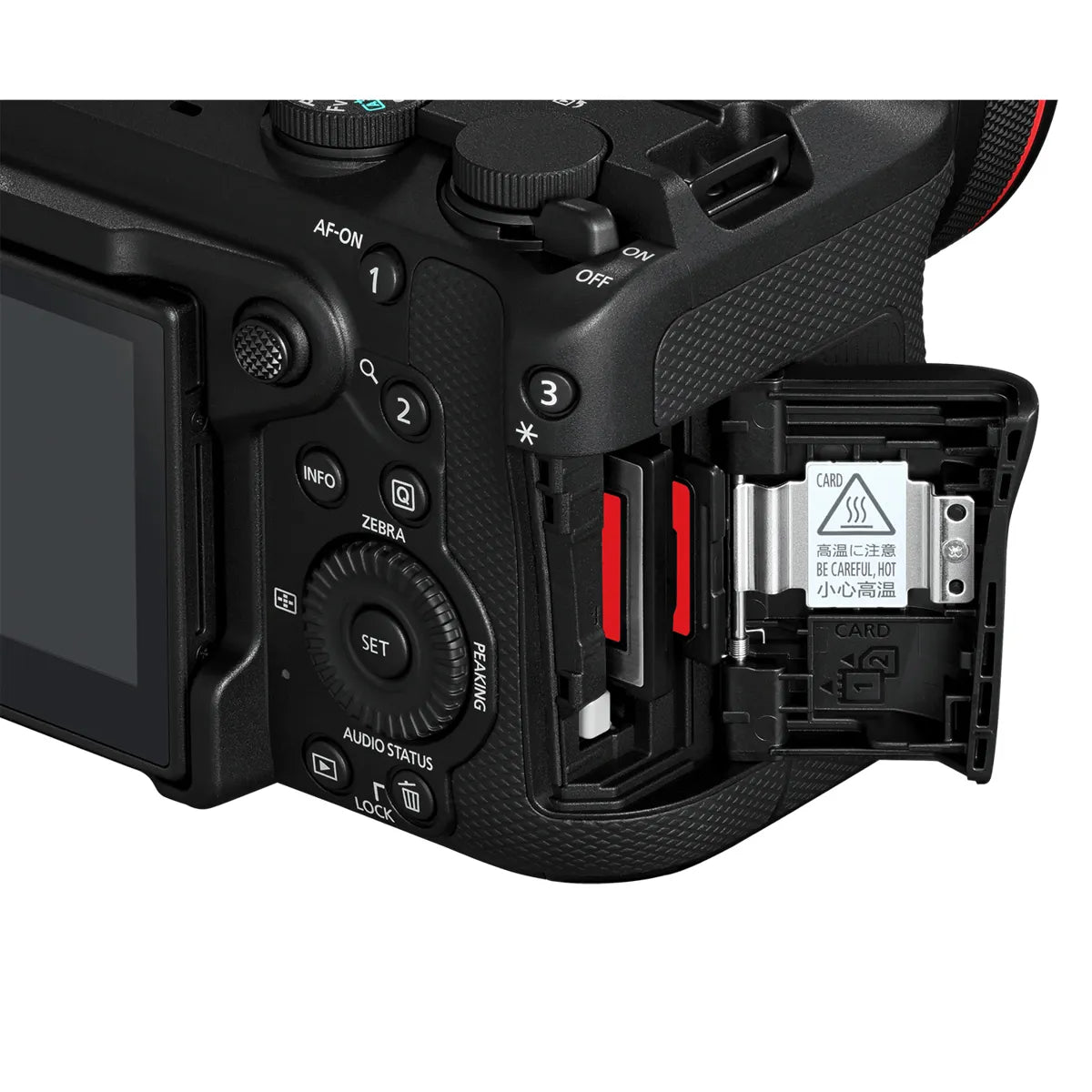 Canon EOS R6 V Mirrorless Camera