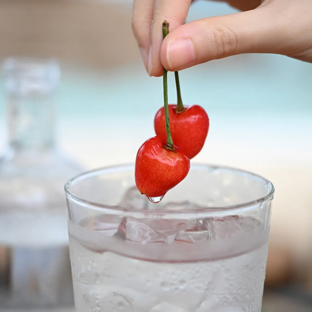 Nikon Z 24-70mm F2.8 S II Lens