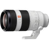 Sony FE 100-400mm F4.5-5.6 GM OSS  Lens