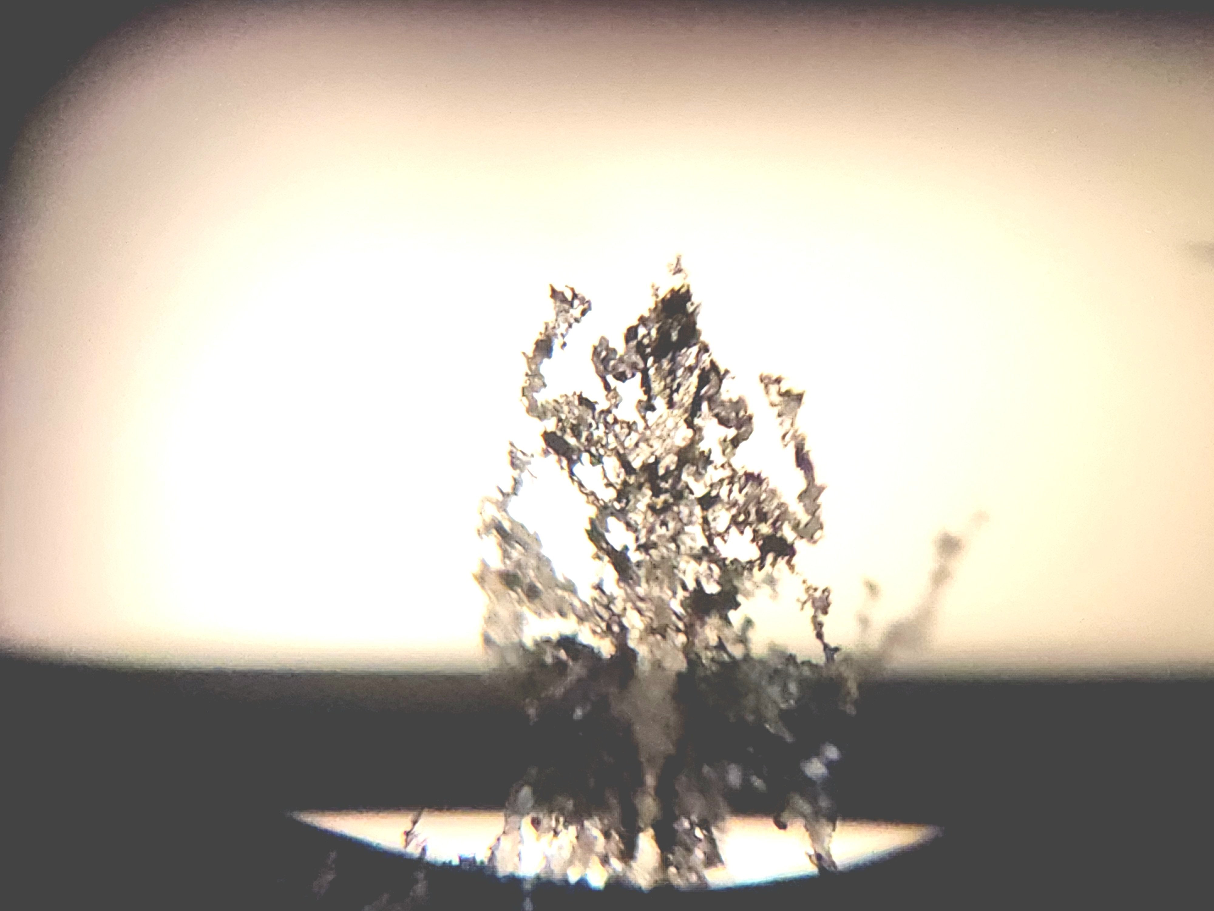 Used Pentax K1000 [Film] w/ 50mm F2 (Growth in viewfinder)