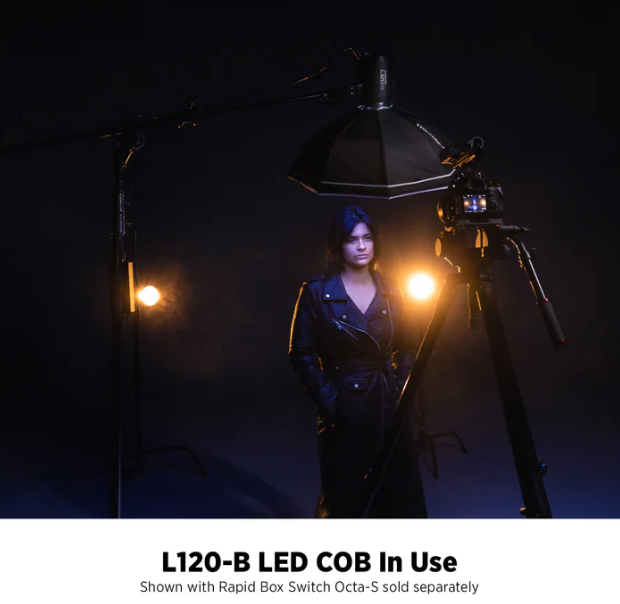 Westcott L120-B Bi-Color LED Monolight