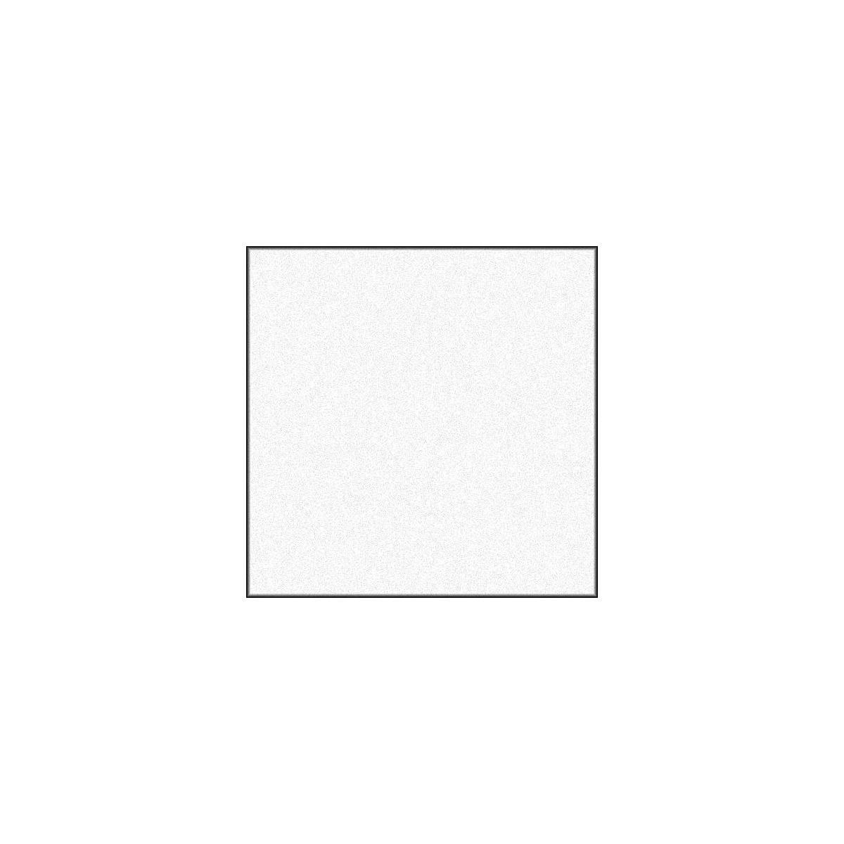 Savage Translum Backdrop (Heavy Weight,  54" x 18')