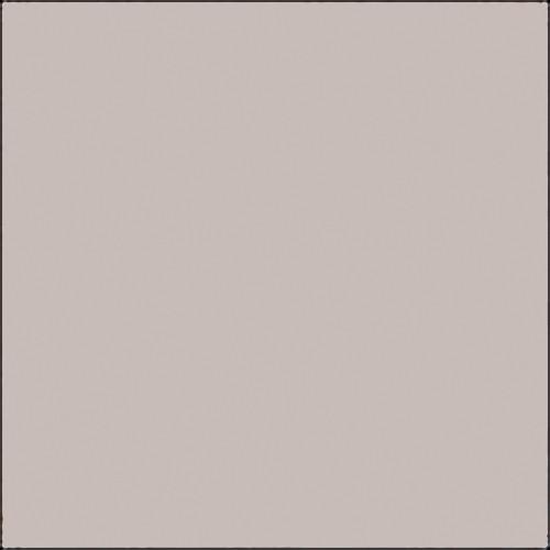 Savage 53"x36' #61 TV Gray Seamless Background Paper