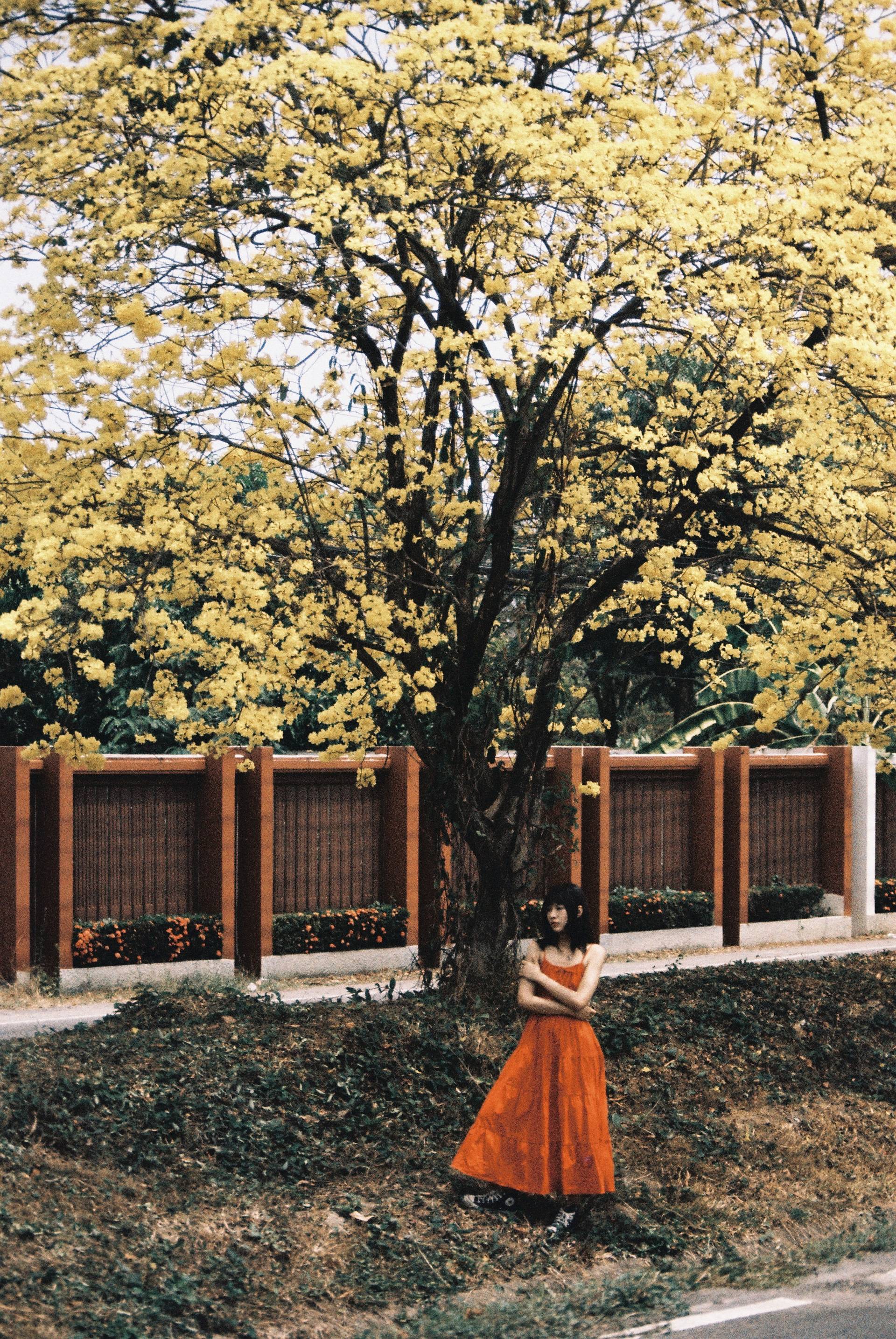 LomoChrome Color ’92 Sun-kissed sample photograph