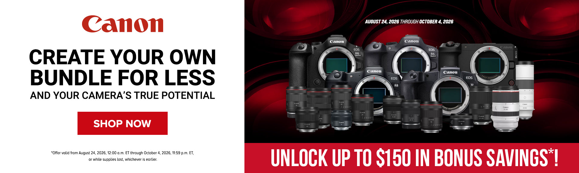 Canon RF 100-500mm F4.5-7.1 L IS USM Lens