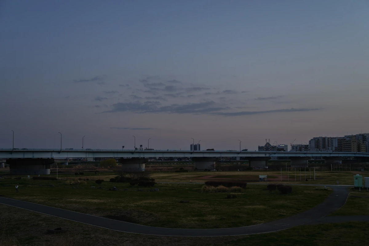 Sigma 20-60mm lens gallery sample photograph 003