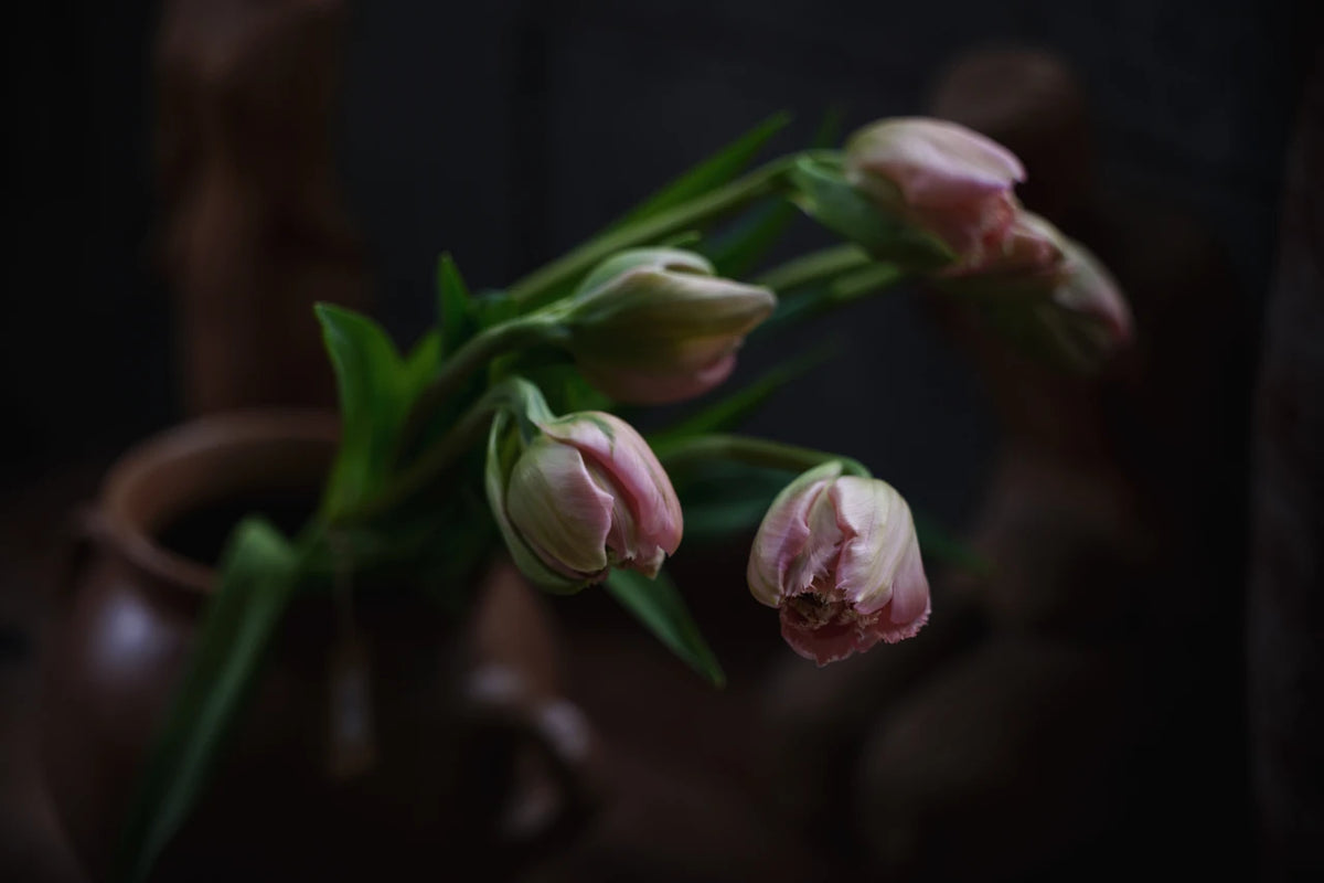 Sigma 20-60mm lens gallery sample photograph 007