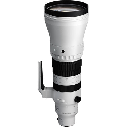 Sigma 300-600mm F4 DG OS | Sports Lens (Sony E)