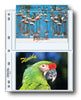 PRINT FILE 5X7-4/25 PRINT PRESERVERS