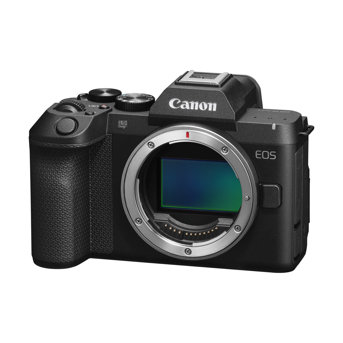 Canon EOS R8 Mark II Mirrorless Camera