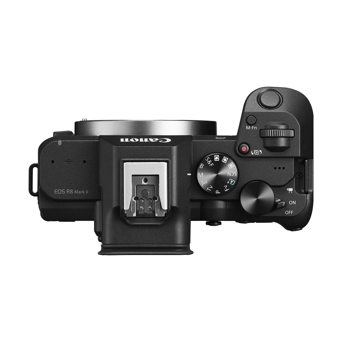 Canon EOS R8 Mark II Mirrorless Camera with 24-50mm STM Lens