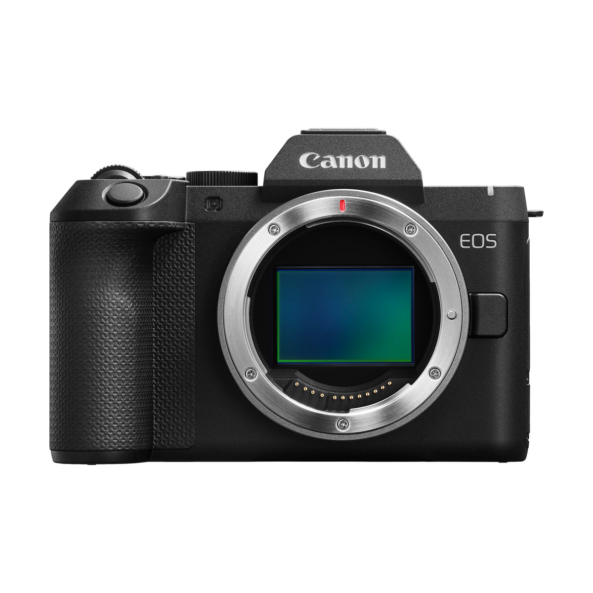 Canon EOS R8 Mark II Mirrorless Camera with 24-50mm STM Lens