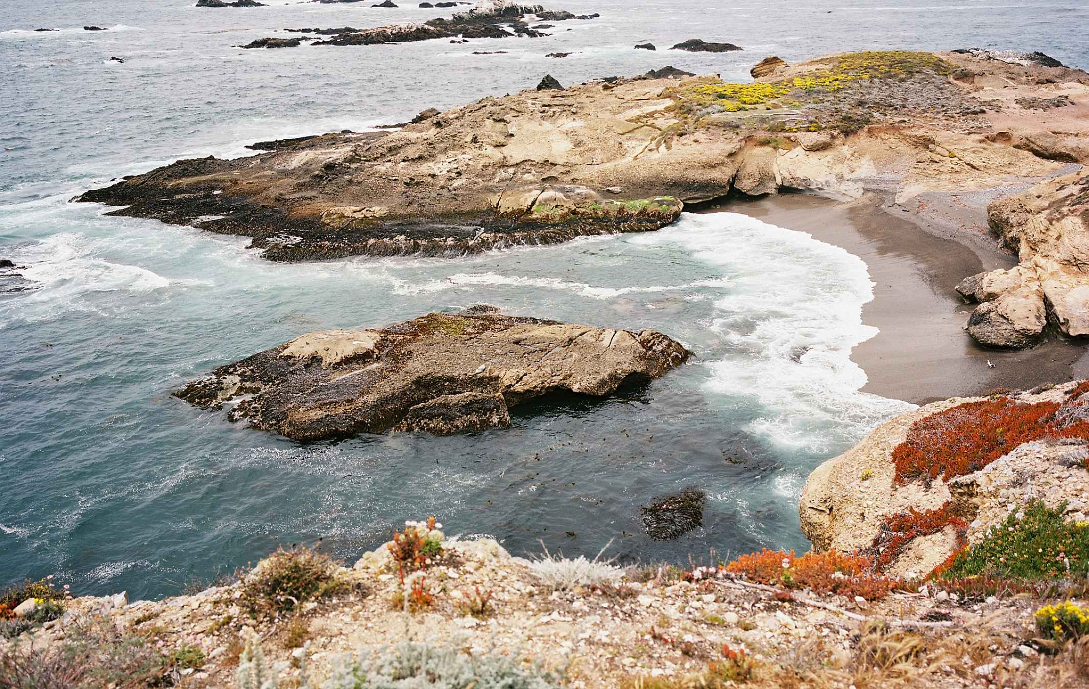 Kodak Professional Ektacolor Pro 160 Color Negative Film (35mm Roll, 36 Exposures)