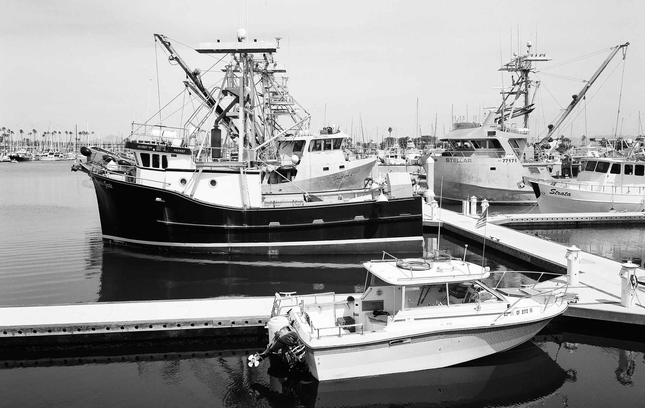 Kodak Ektapan 100 Black & White Negative Film (35mm Roll, 36 Exposures)