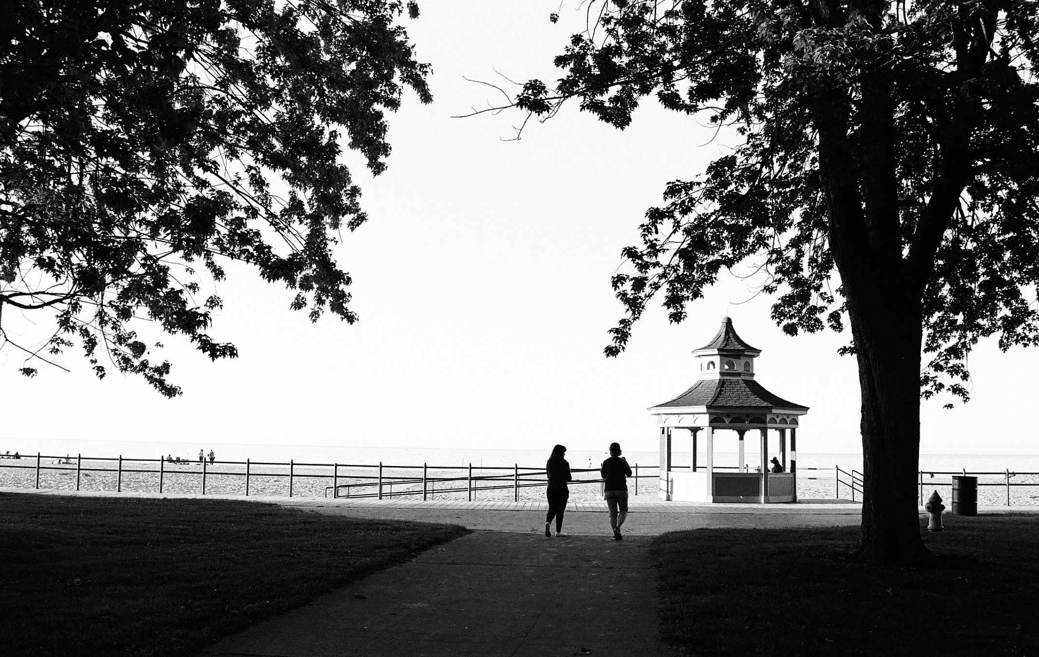Eastman Kodak Ektapan 400 Black & White Negative Film (35mm Roll, 36 Exposures)