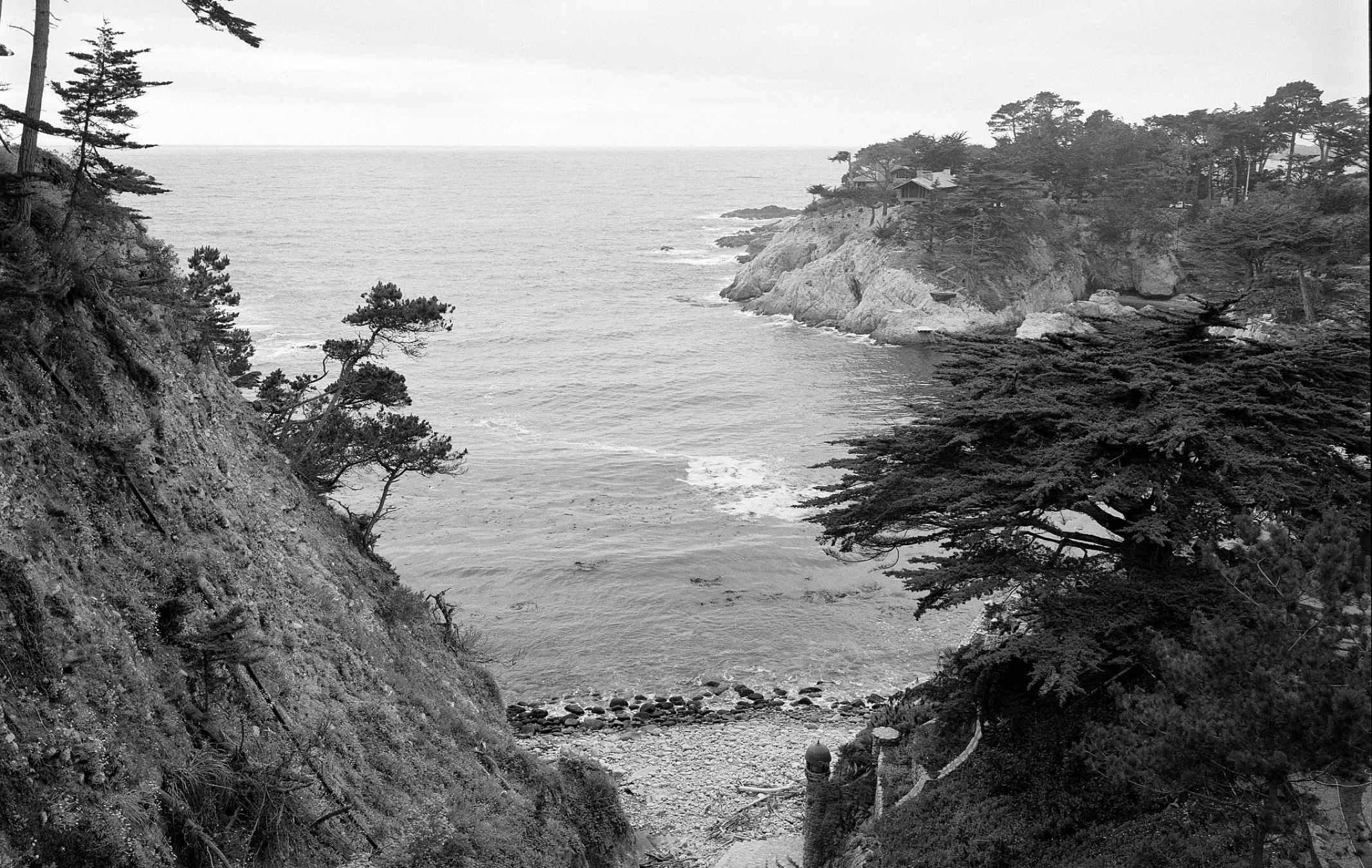 Eastman Kodak Ektapan 400 Black & White Negative Film (35mm Roll, 36 Exposures)