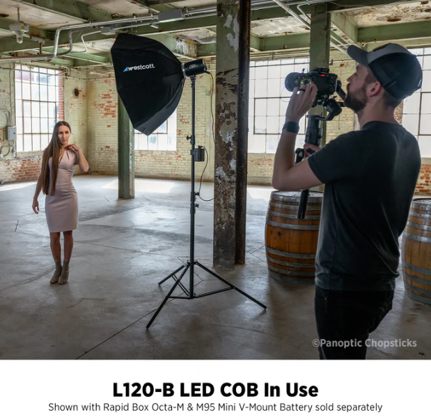 Westcott L120-B Bi-Color LED Monolight
