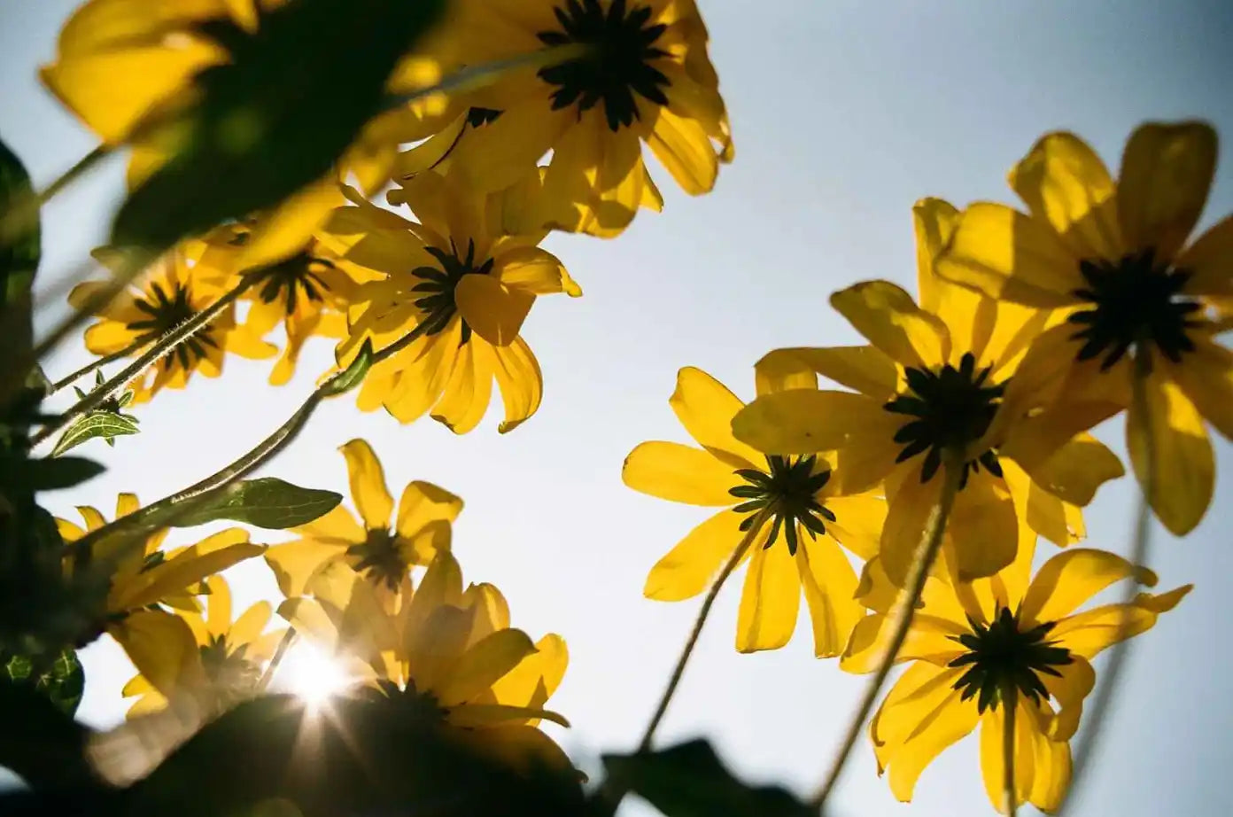 Kodak Kodacolor 100 Color Negative Film (35mm Roll Film, 36 Exposures)