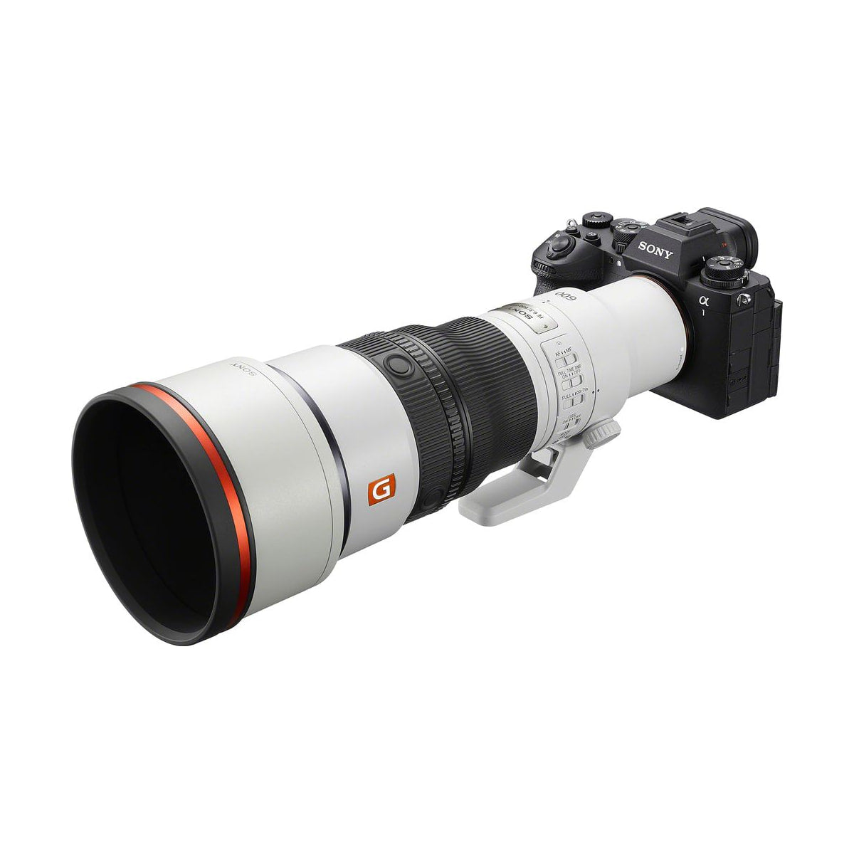 Sony FE 600mm F6.3 GM OSS Lens (Sony E)